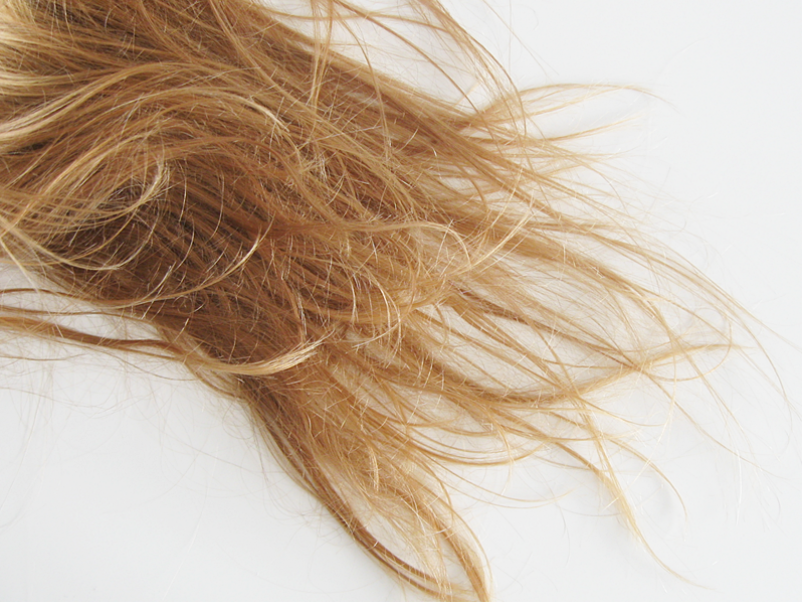 Czym charakteryzują się włosy suche?